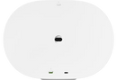 Sonos Era 300 Wireless Speaker