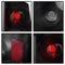 Photo - Unmounted