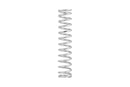 Eibach ERS 14.00 in. Length x 2.50 in. ID Coil-Over Spring