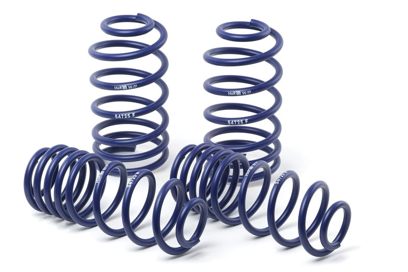 H&R 95-99 Mercedes-Benz S320/S400/S420/S500 W140 Sport Spring (w/o Self-Leveling & After 1/1/95)