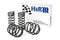 H&R 04-11 BMW 645Ci Coupe/650i Coupe E63 Sport Spring (w/Dynamic Drive/Non Convertible)
