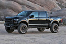 Fabtech 17-20 Ford Raptor 4in System