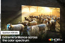 Quantum HDR 64x